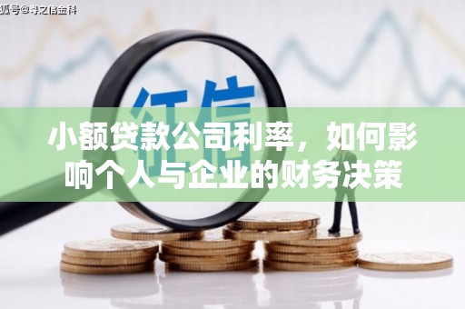 太白小额贷款公司利率，如何影响个人与企业的财务决策