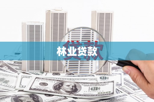 太白林业贷款