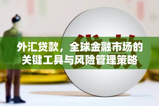 太白外汇贷款，全球金融市场的关键工具与风险管理策略
