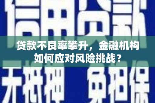 太白贷款不良率攀升，金融机构如何应对风险挑战？