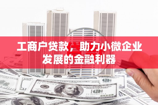 太白工商户贷款，助力小微企业发展的金融利器