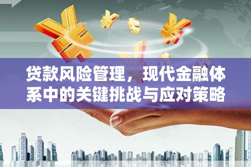 太白贷款风险管理，现代金融体系中的关键挑战与应对策略