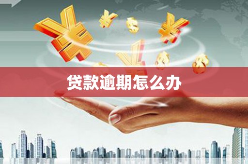 太白贷款逾期怎么办