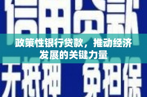 太白政策性银行贷款，推动经济发展的关键力量