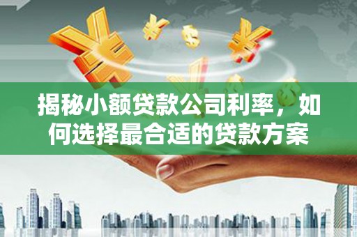 太白揭秘小额贷款公司利率，如何选择最合适的贷款方案