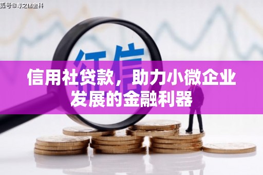 太白信用社贷款，助力小微企业发展的金融利器