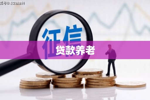 太白贷款养老