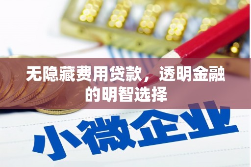 太白无隐藏费用贷款，透明金融的明智选择