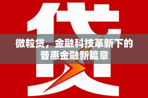 太白微粒贷，金融科技革新下的普惠金融新篇章