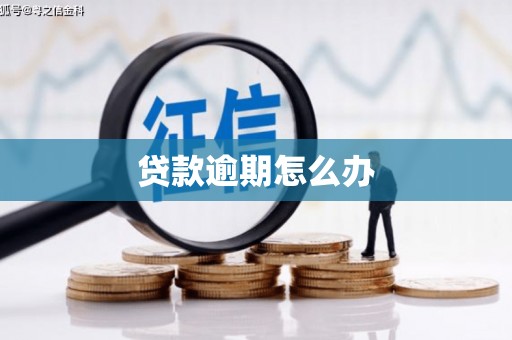 太白贷款逾期怎么办