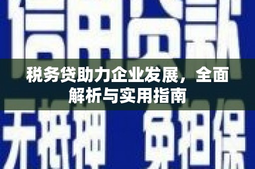 太白税务贷助力企业发展，全面解析与实用指南