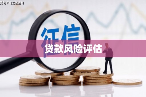 太白贷款风险评估