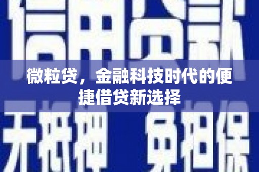 太白微粒贷，金融科技时代的便捷借贷新选择