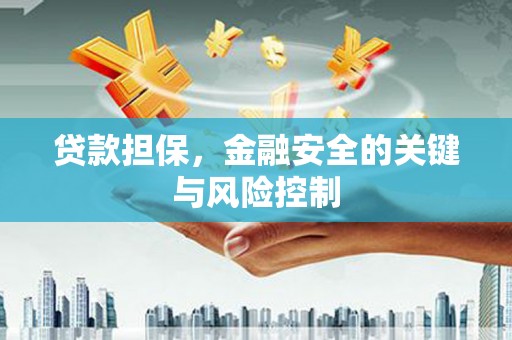 太白贷款担保，金融安全的关键与风险控制