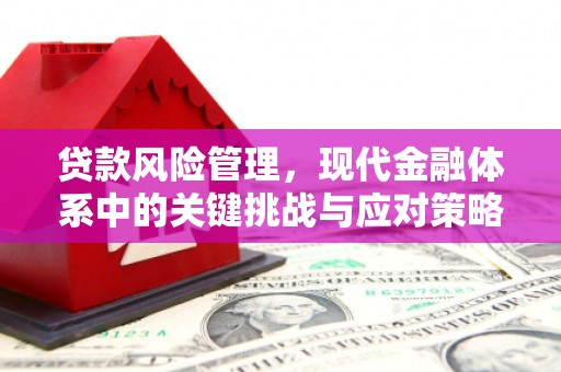 太白贷款风险管理，现代金融体系中的关键挑战与应对策略