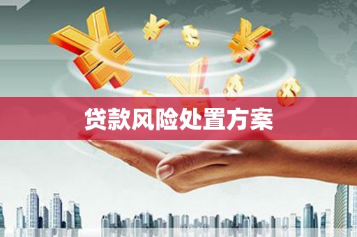 太白贷款风险处置方案