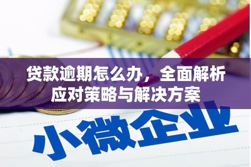 太白贷款逾期怎么办，全面解析应对策略与解决方案