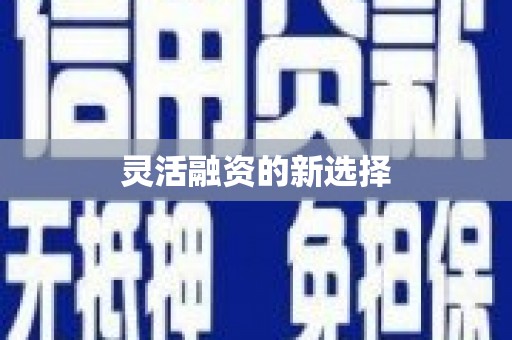 太白灵活融资的新选择