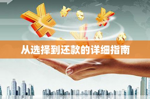 太白从选择到还款的详细指南