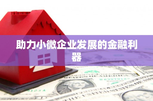 太白助力小微企业发展的金融利器