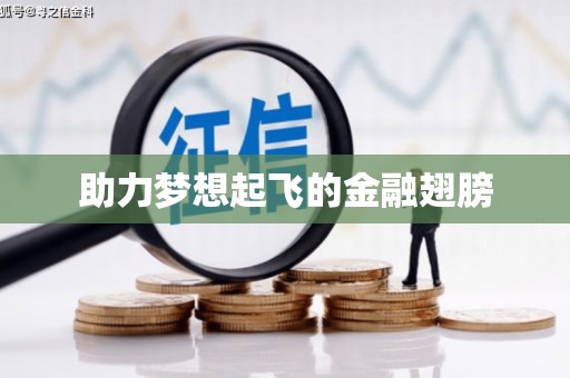 太白助力梦想起飞的金融翅膀