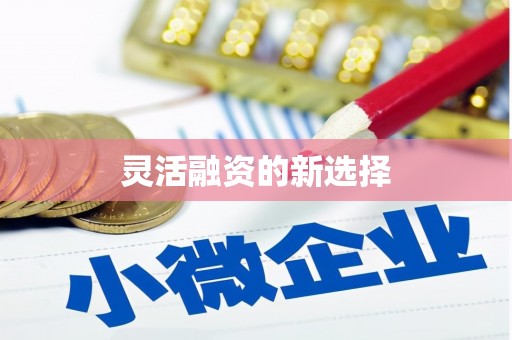 太白灵活融资的新选择