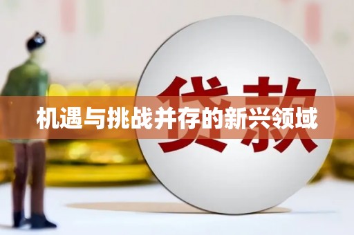 太白机遇与挑战并存的新兴领域
