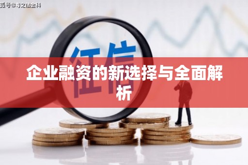 太白企业融资的新选择与全面解析