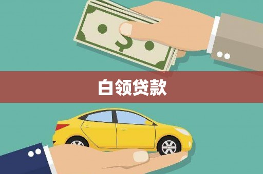 太白白领贷款