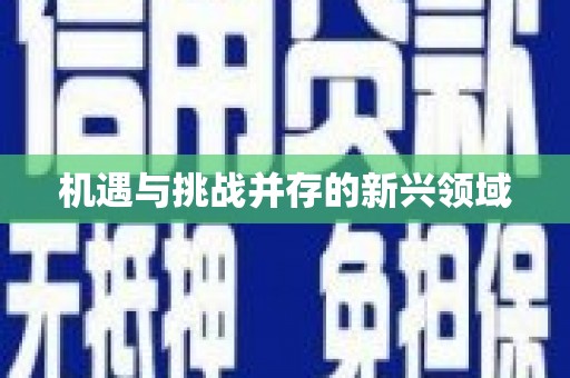 太白机遇与挑战并存的新兴领域
