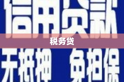 太白税务贷