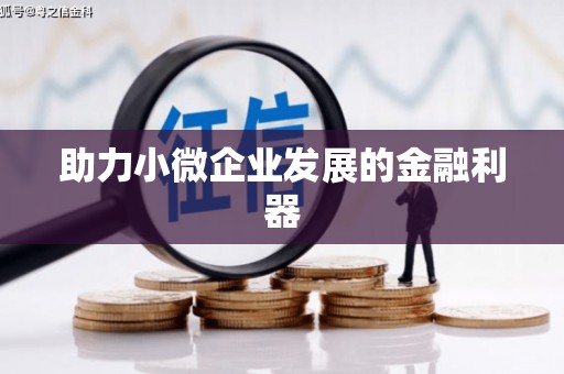 太白助力小微企业发展的金融利器
