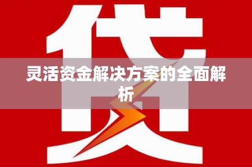 太白灵活资金解决方案的全面解析