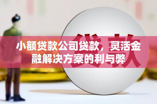 太白小额贷款公司贷款，灵活金融解决方案的利与弊