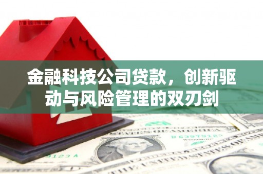 太白金融科技公司贷款，创新驱动与风险管理的双刃剑